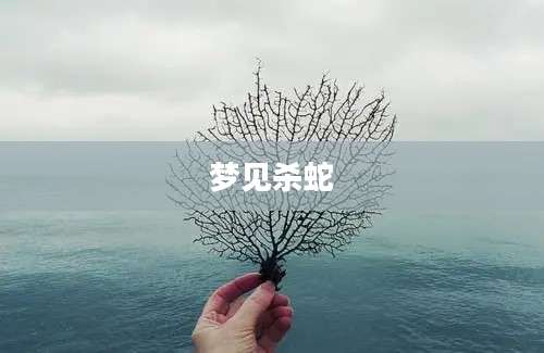 梦见杀蛇
