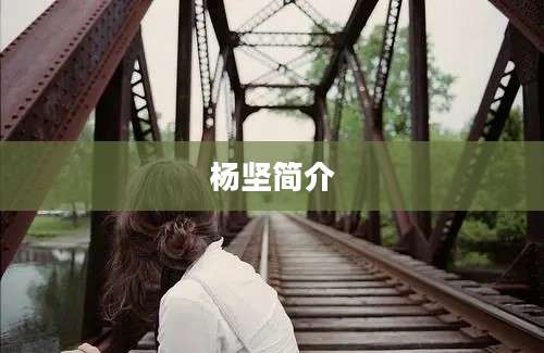 杨坚简介