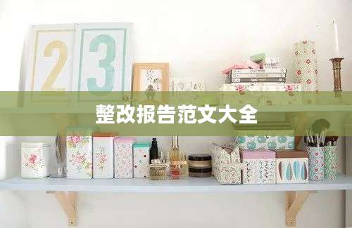 整改报告范文大全