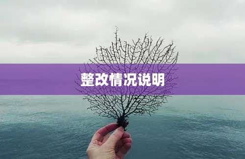 整改情况说明