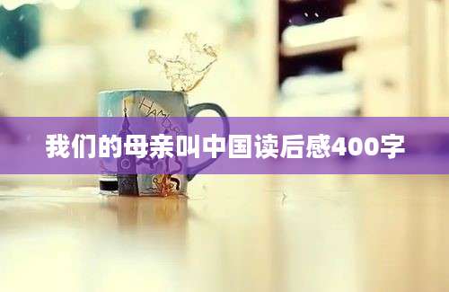 我们的母亲叫中国读后感400字