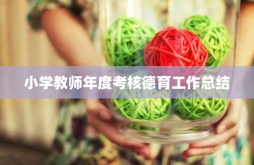小学教师年度考核德育工作总结