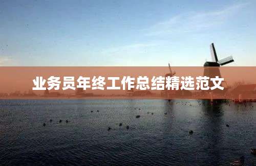 业务员年终工作总结精选范文