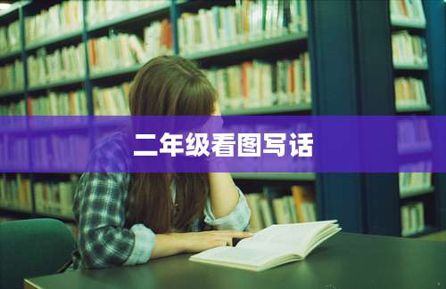 二年级看图写话