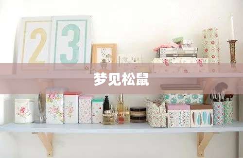 梦见松鼠