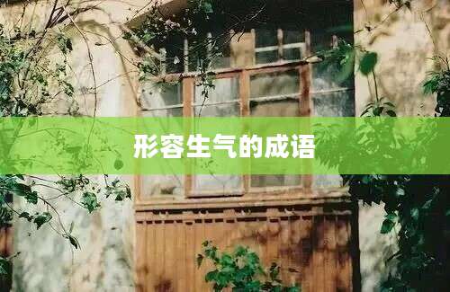 形容生气的成语