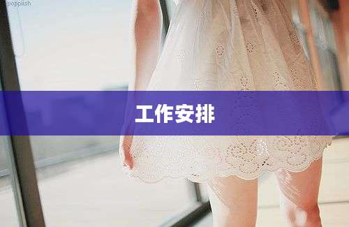 工作安排