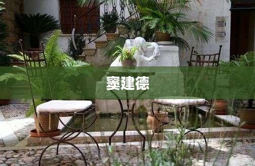 窦建德