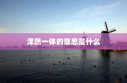 浑然一体的意思是什么