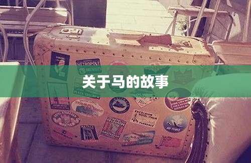 关于马的故事
