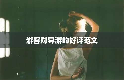游客对导游的好评范文