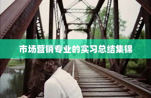 市场营销专业的实习总结集锦