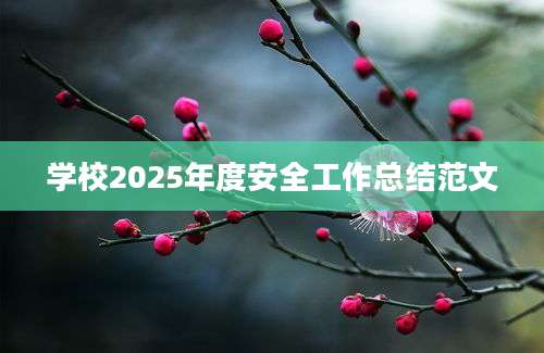 学校2025年度安全工作总结范文