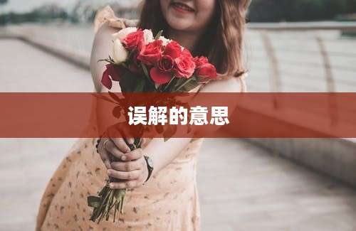 误解的意思