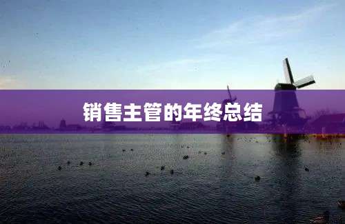 销售主管的年终总结