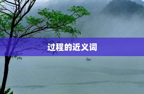 过程的近义词