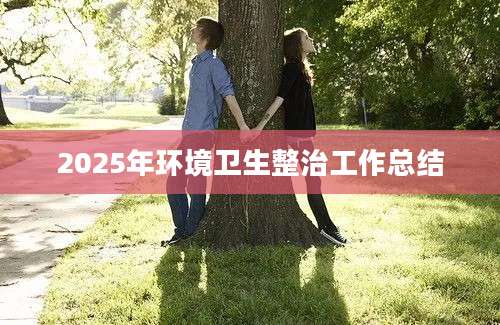 2025年环境卫生整治工作总结