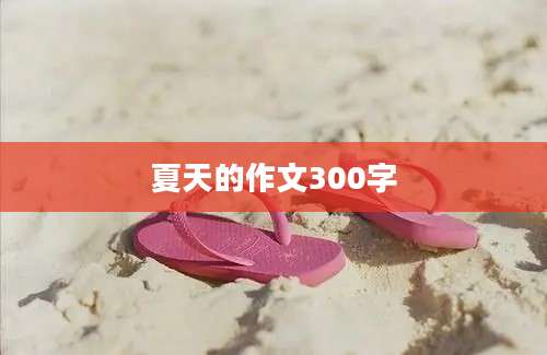 夏天的作文300字