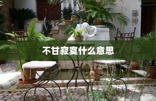 不甘寂寞什么意思