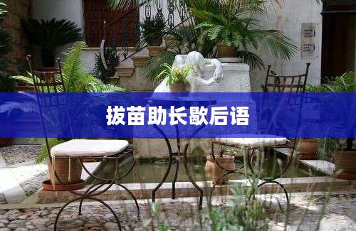 拔苗助长歇后语