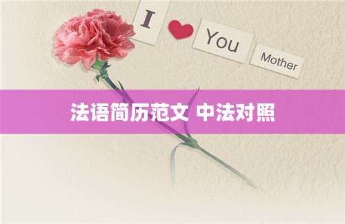法语简历范文 中法对照