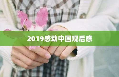 2019感动中国观后感