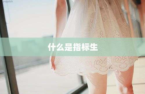 什么是指标生