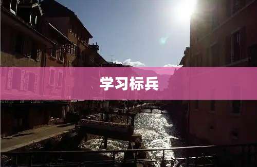 学习标兵