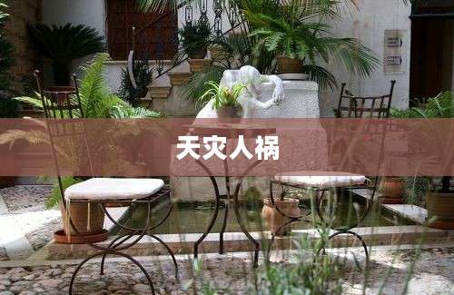 天灾人祸