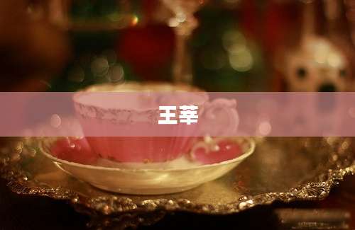 王莘