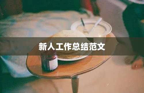 新人工作总结范文