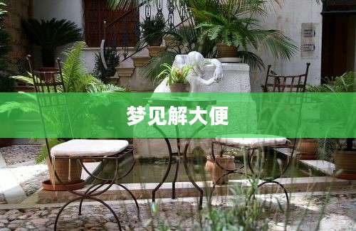 梦见解大便