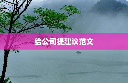 给公司提建议范文