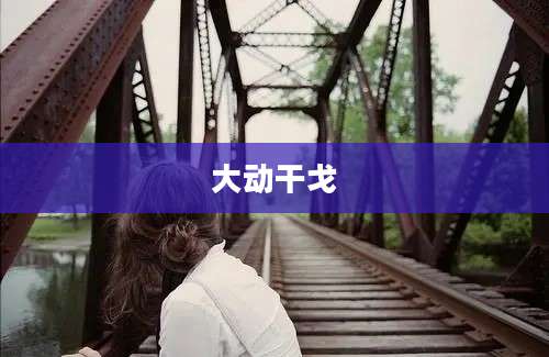 大动干戈