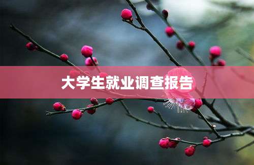 大学生就业调查报告
