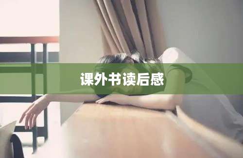 课外书读后感