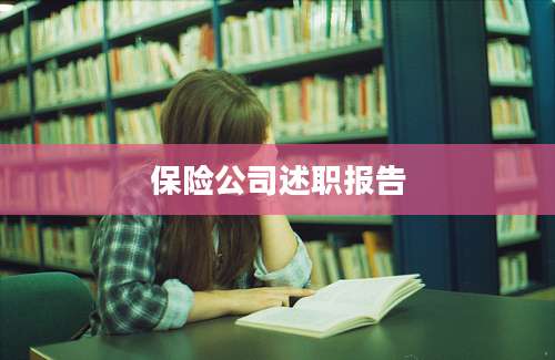 保险公司述职报告