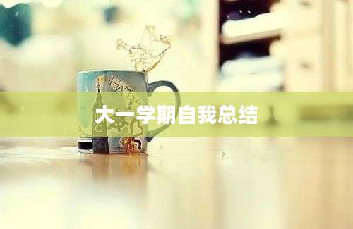 大一学期自我总结