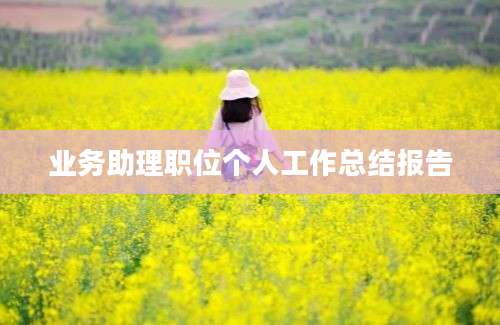 业务助理职位个人工作总结报告