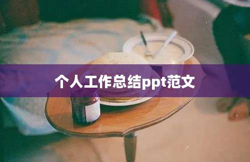 个人工作总结ppt范文