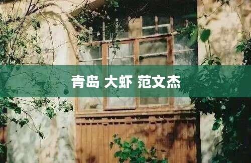 青岛 大虾 范文杰