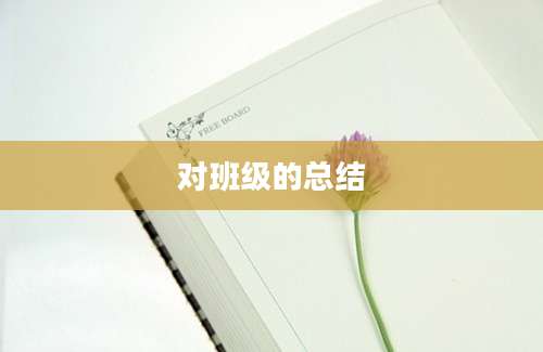 对班级的总结