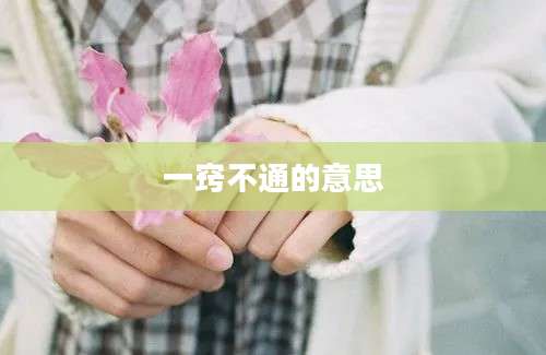 一窍不通的意思