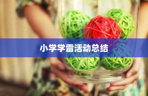 小学学雷活动总结