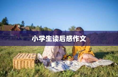 小学生读后感作文