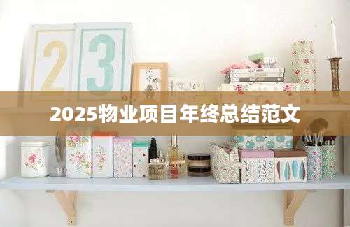 2025物业项目年终总结范文