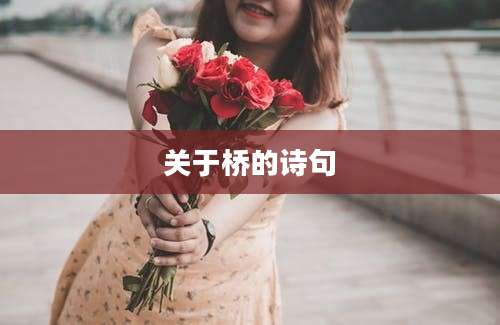 关于桥的诗句