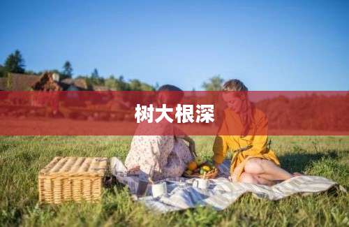 树大根深