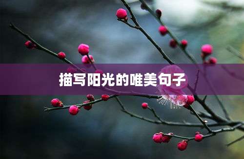 描写阳光的唯美句子