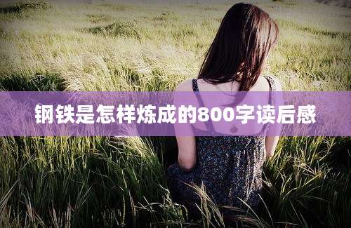 钢铁是怎样炼成的800字读后感